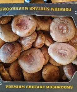 Large Shiitake 3 lbs