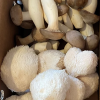 2lb box- Royal Trumpet & Lion Mane