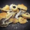 PEURTO RICAN MUSHROOMS