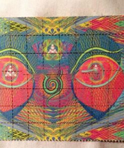 Teachers Gaze LSD