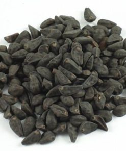 MORNING GLORY SEEDS