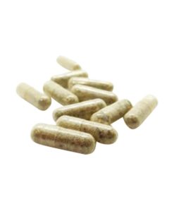 Microdose Capsules ( Psilocybe Mexicana ) X50
