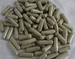 Magic Mushroom Capsules