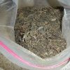Buy premium Salvia online at Mushroom Shacks. Explore our range of high-quality Salvia products including leaves, extracts, and tinctures. Fast, discreet shipping!
