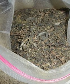 Buy premium Salvia online at Mushroom Shacks. Explore our range of high-quality Salvia products including leaves, extracts, and tinctures. Fast, discreet shipping!