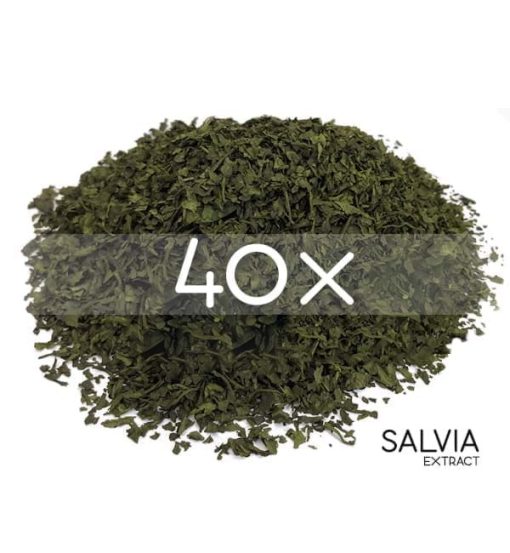 Buy Salvia Extract 40X online at MushroomShacks.com. Premium quality, potent effects, and discreet shipping. Click now to shop securely!