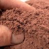 Buy brownie bites online