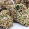 Cannabis buds of Girl Scout Cookies strain