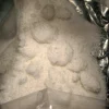 Buy N-Bomb online at MushroomShacks.com! Discover premium-quality products, affordable prices, and fast, discreet shipping. Order now for the ultimate experience.
